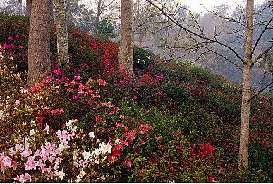 《超自然车旅》新DLC林中低语发布 神秘森林冒险